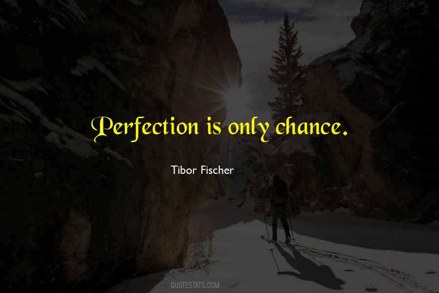 Perfection Is Quotes #1330546