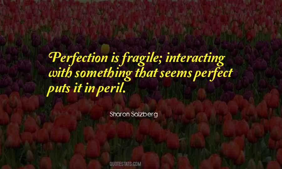 Perfection Is Quotes #1340890