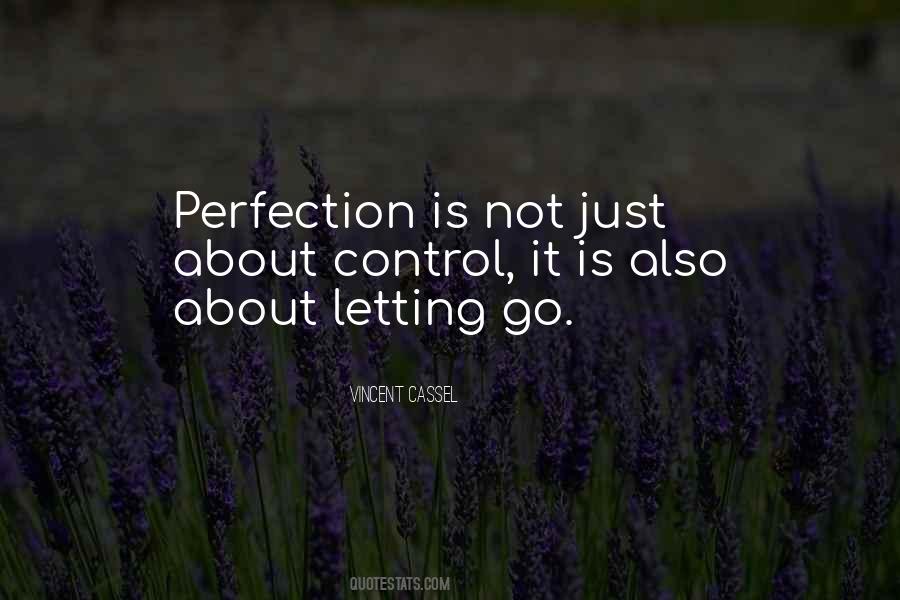 Perfection Is Quotes #1399035