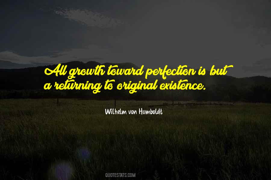 Perfection Is Quotes #1479508
