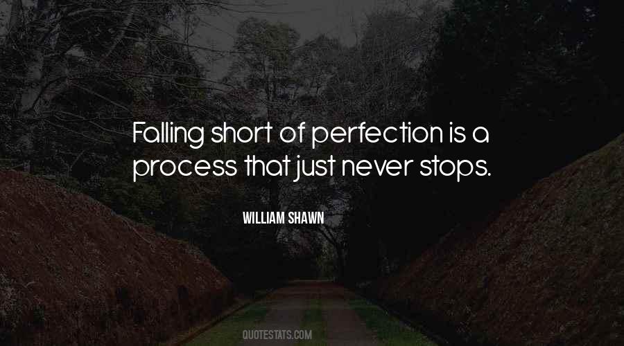 Perfection Is Quotes #1822097