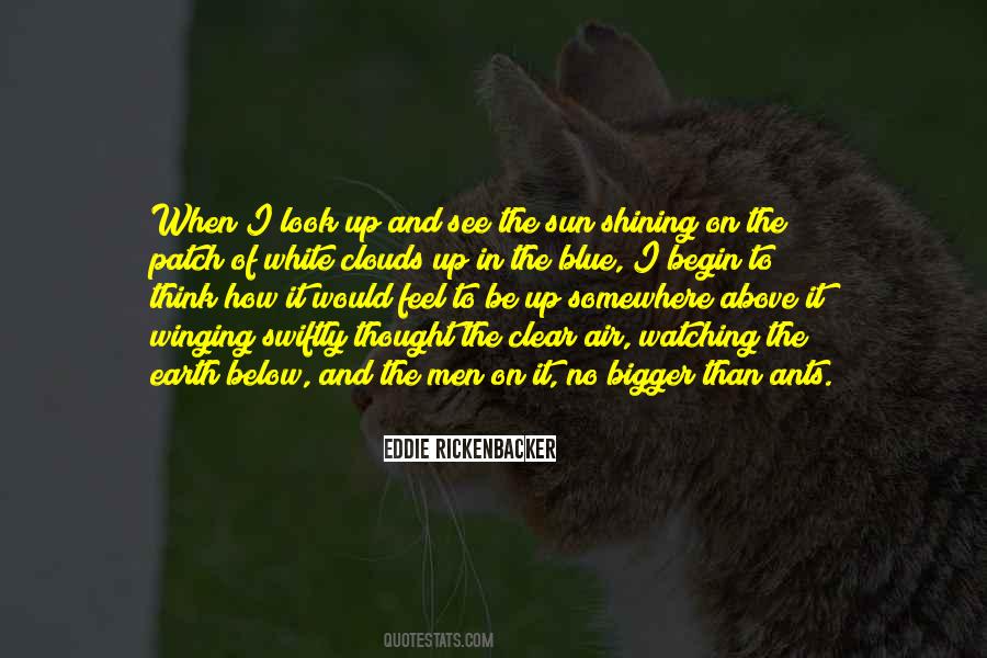 Just Winging It Quotes #442976
