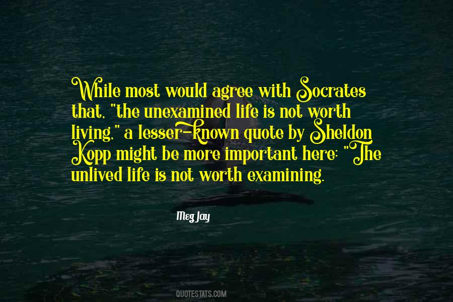 An Unexamined Life Quotes #994092