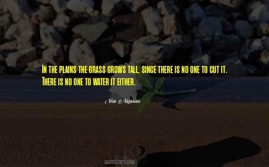 The Plains Quotes #215742