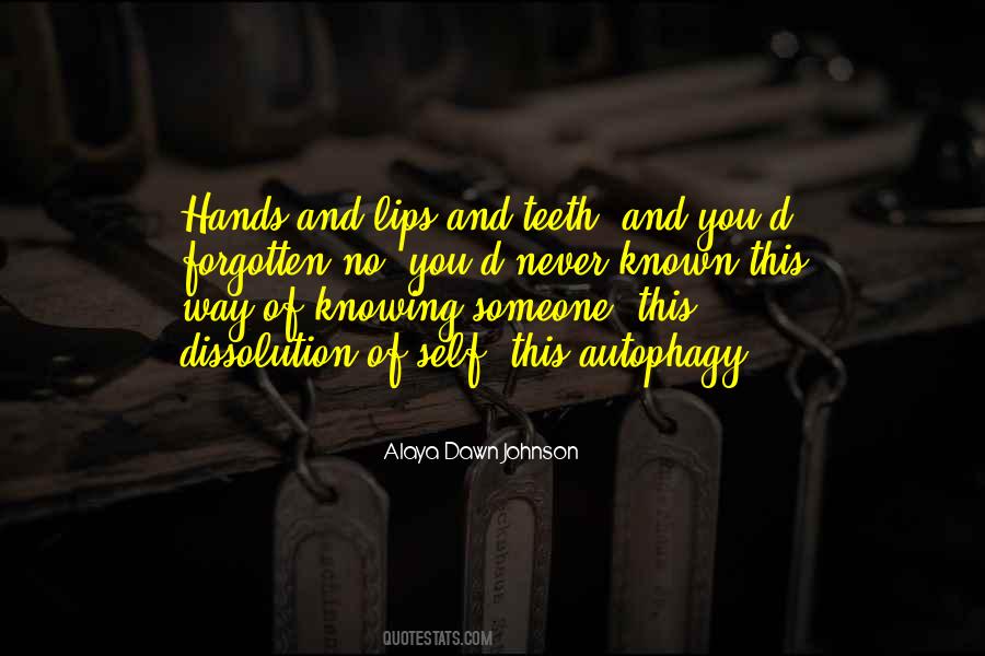 Forgotten Someone Quotes #1595093