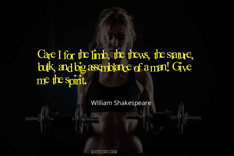 Spirit Of The Soul Quotes #280478