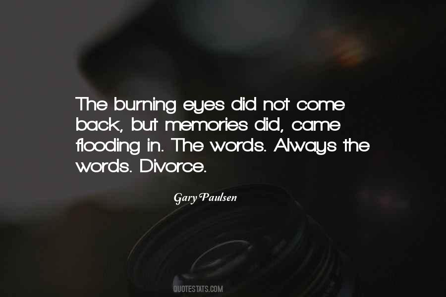 Burning Eyes Quotes #1017101