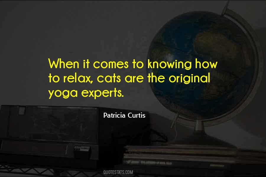 Yoga Cat Quotes #348328