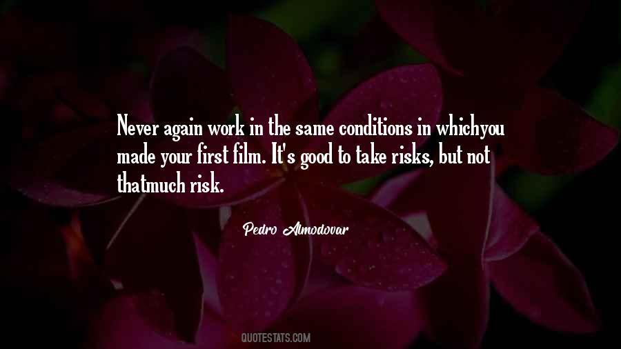 If You Never Take A Risk Quotes #1660758
