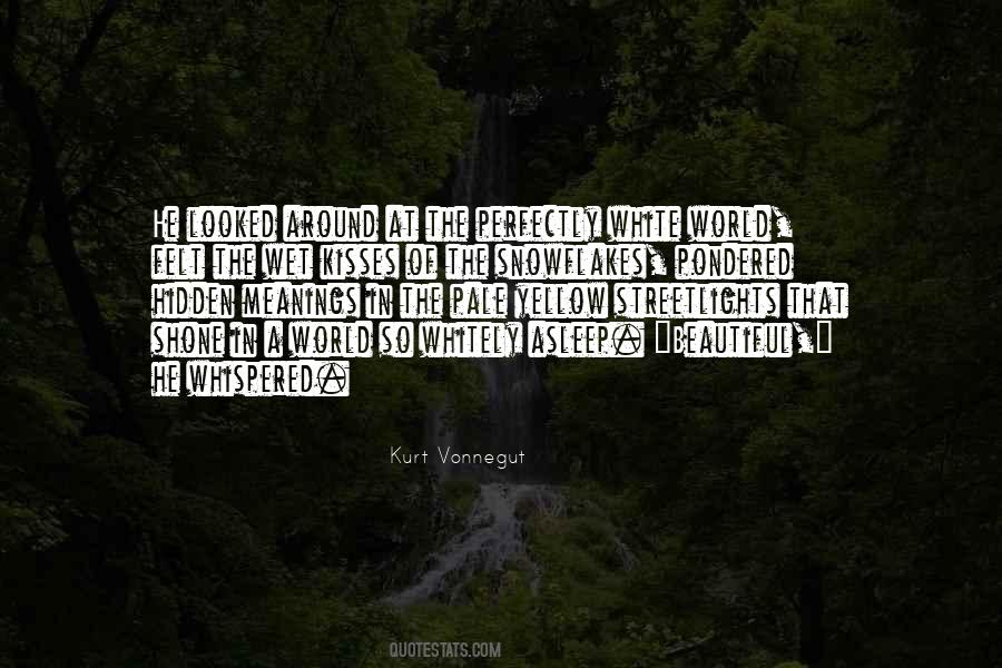 Hidden Meanings In Quotes #1135777