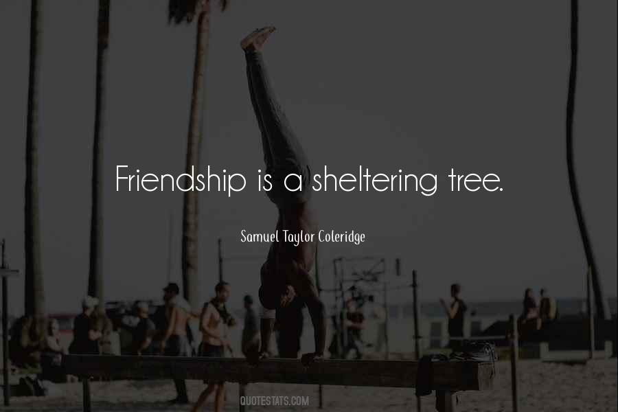 Friendship Is A Sheltering Tree Quotes #1838676 Friendship Is A Sheltering Tree Quotes #1838676