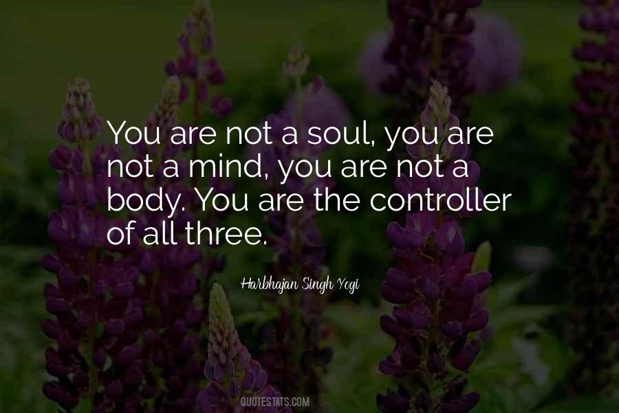 Not Inspirational Quotes #102144