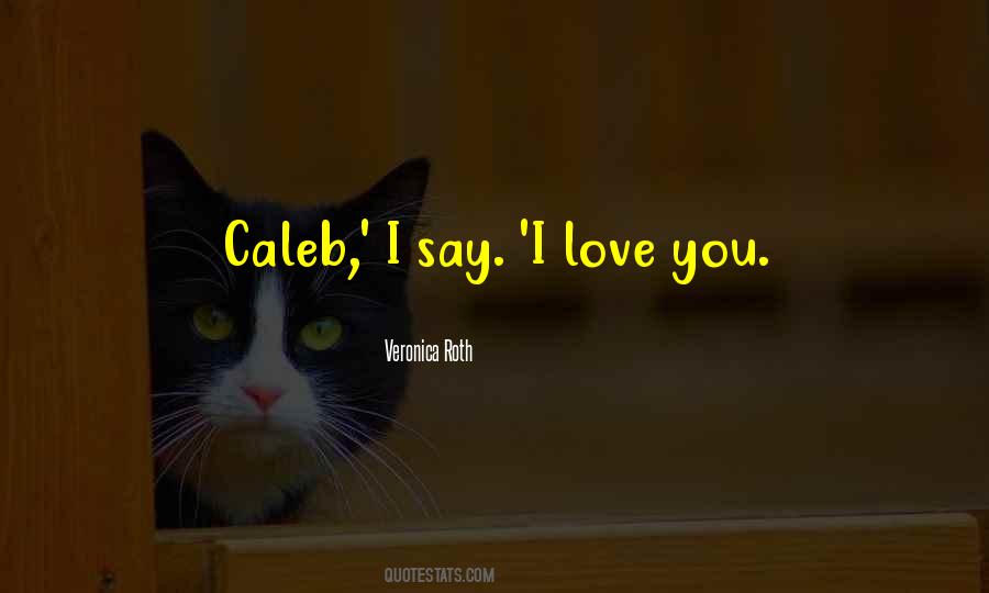 Sad I Love You Quotes #800525