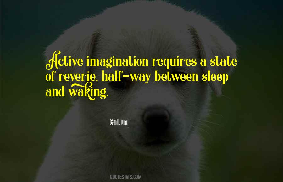 Funny Pragmatism Quotes #1348513
