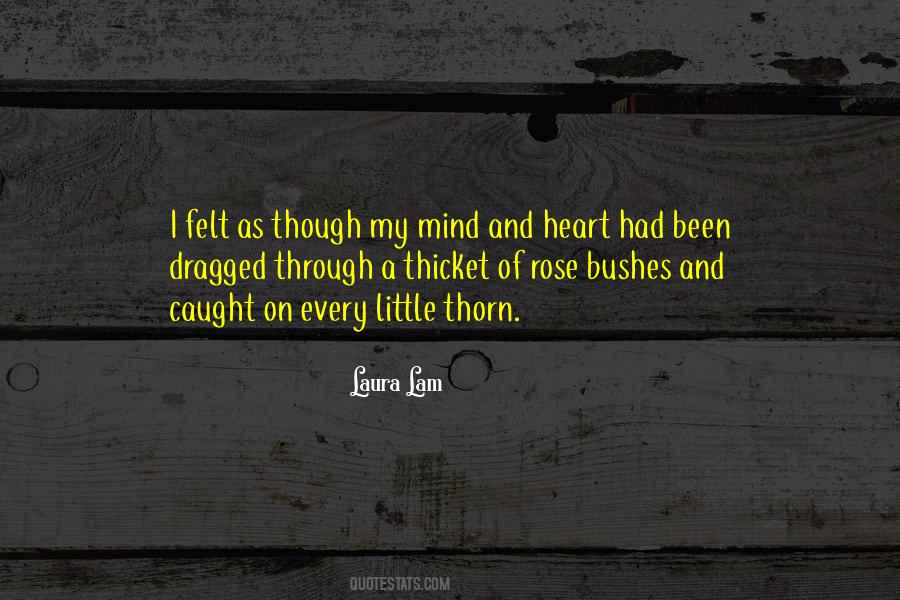 I Caught On Quotes #1269158