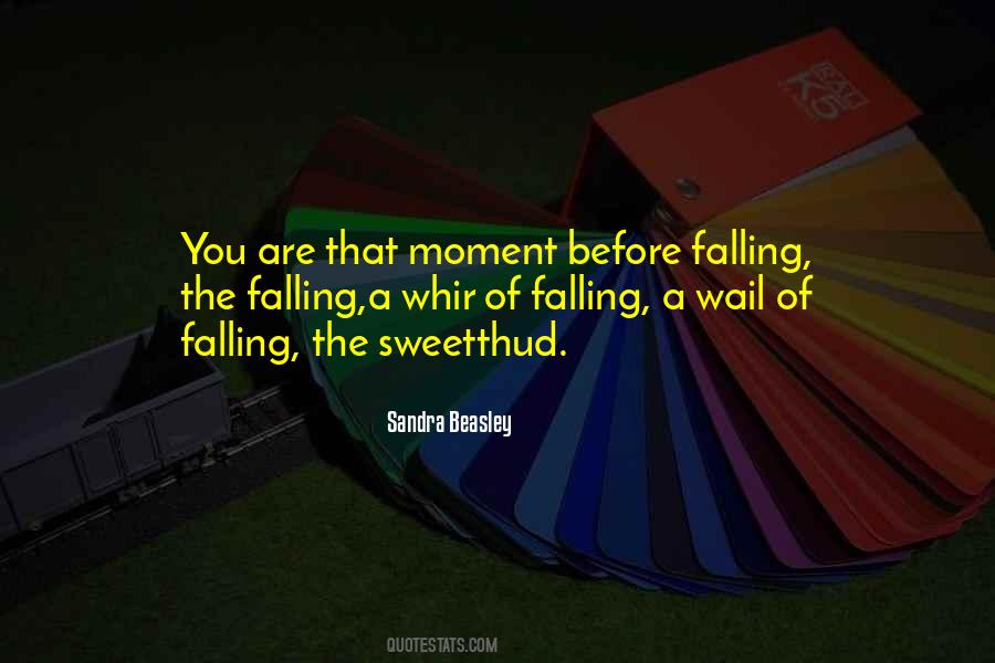 Before Falling Quotes #1100192