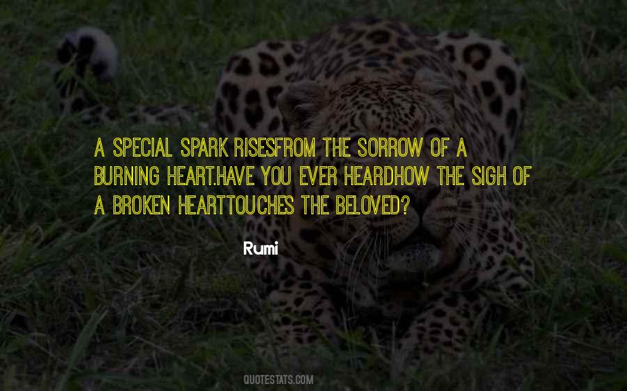 You Have A Spark Quotes #320926