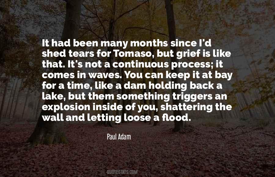 Grief Is A Process Quotes #1219999
