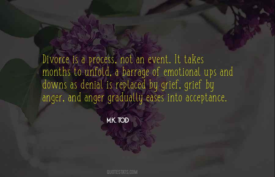 Grief Is A Process Quotes #1343324
