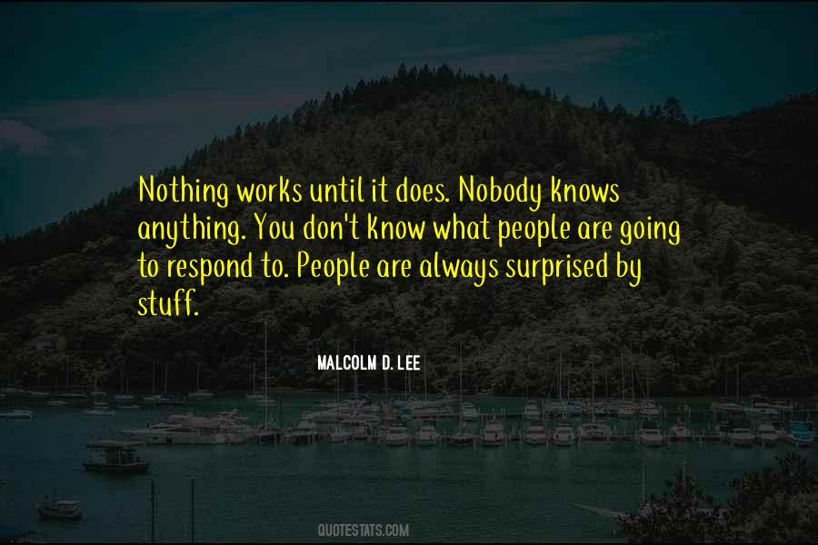 Nobody Knows Anything Quotes #954859