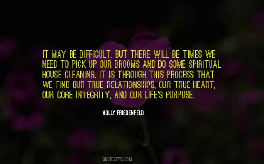 Love Cleaning Quotes #1620153