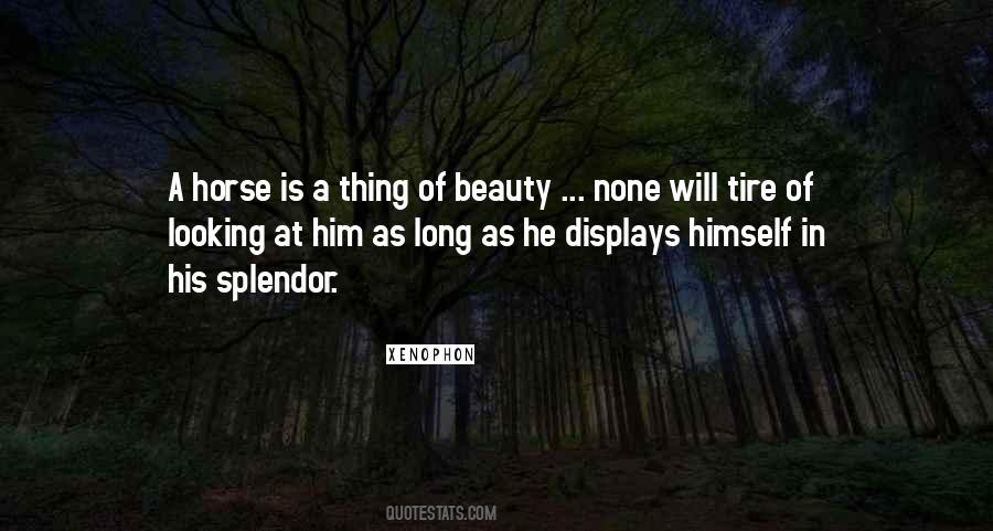 Thing Of Beauty Quotes #1480077