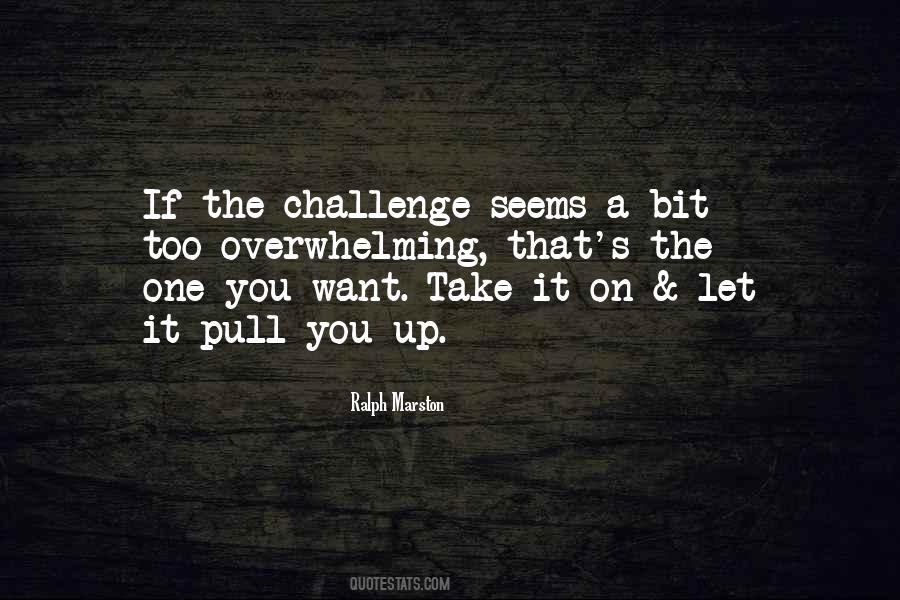 Take On Challenges Quotes #164125