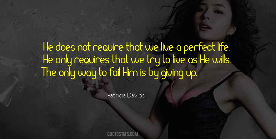 Not A Perfect Life Quotes #1070129