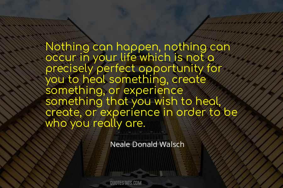 Not A Perfect Life Quotes #119591