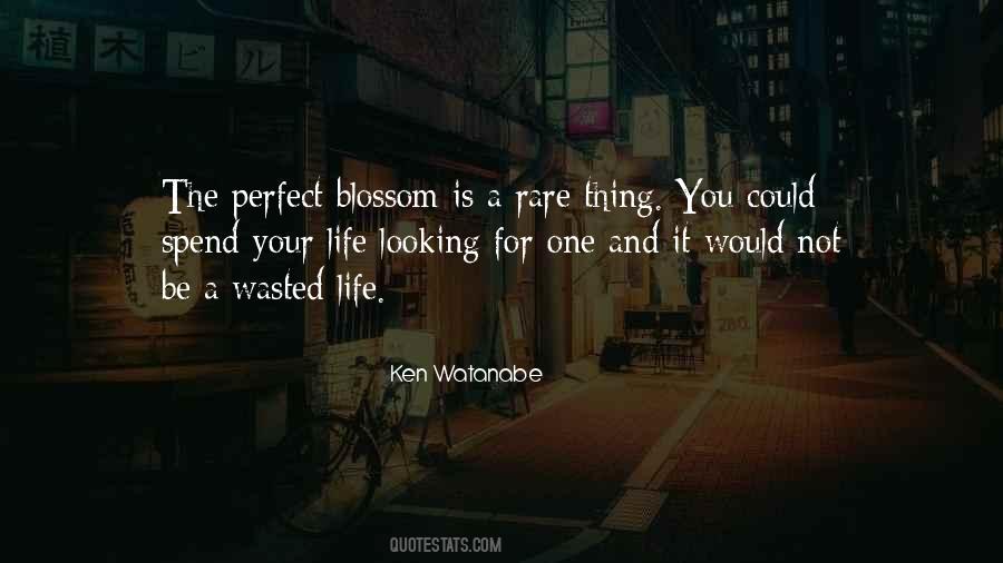 Not A Perfect Life Quotes #1383770