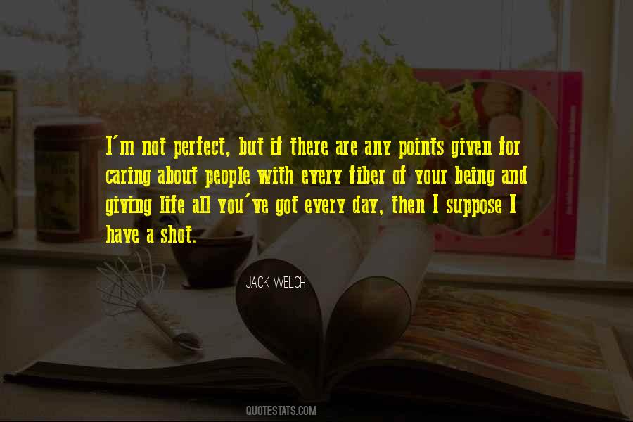 Not A Perfect Life Quotes #1398859