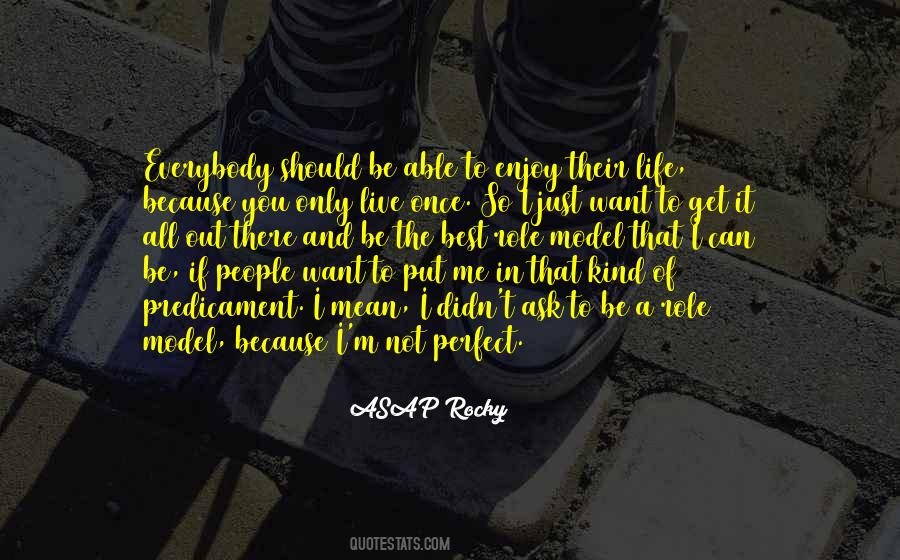 Not A Perfect Life Quotes #199255