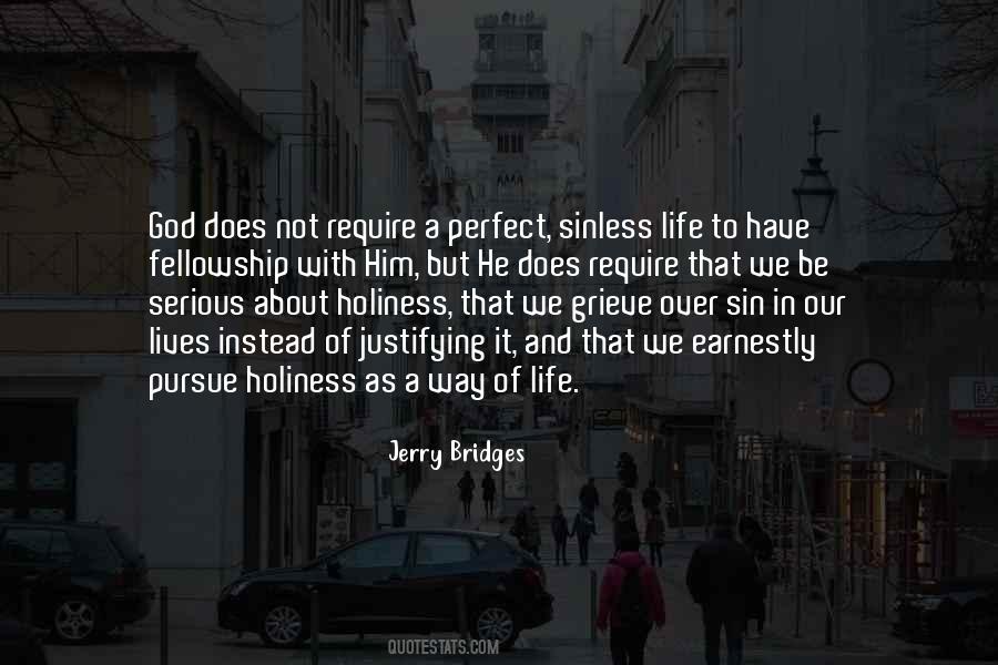 Not A Perfect Life Quotes #353090