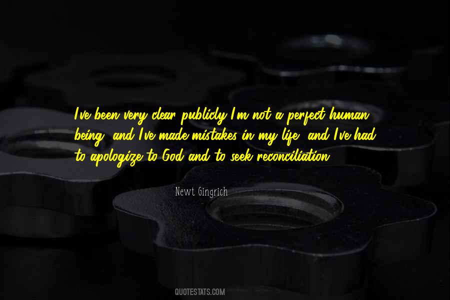 Not A Perfect Life Quotes #377203