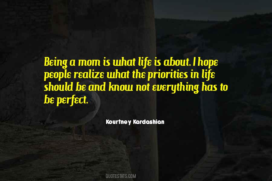 Not A Perfect Life Quotes #749211
