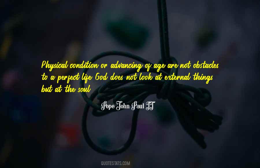 Not A Perfect Life Quotes #778243