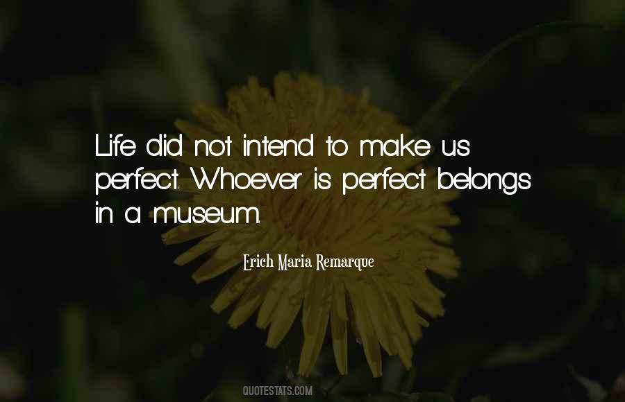 Not A Perfect Life Quotes #800686