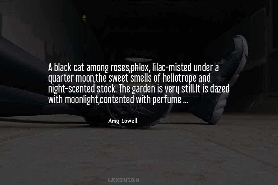 Black Night Quotes #1659082
