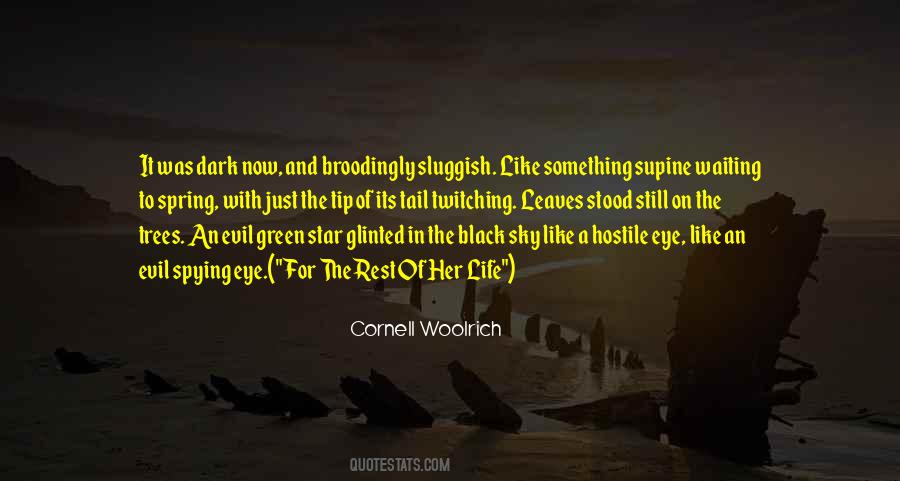 Black Night Quotes #205835