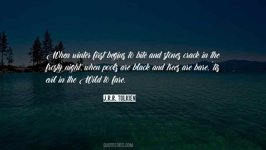 Black Night Quotes #494378