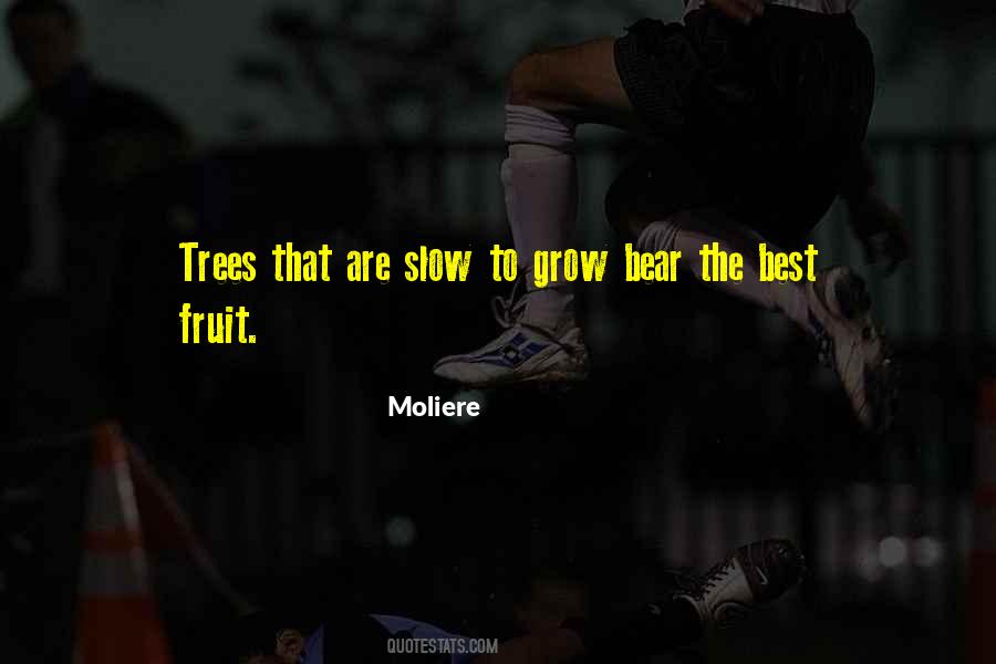 Best Fruit Quotes #187118