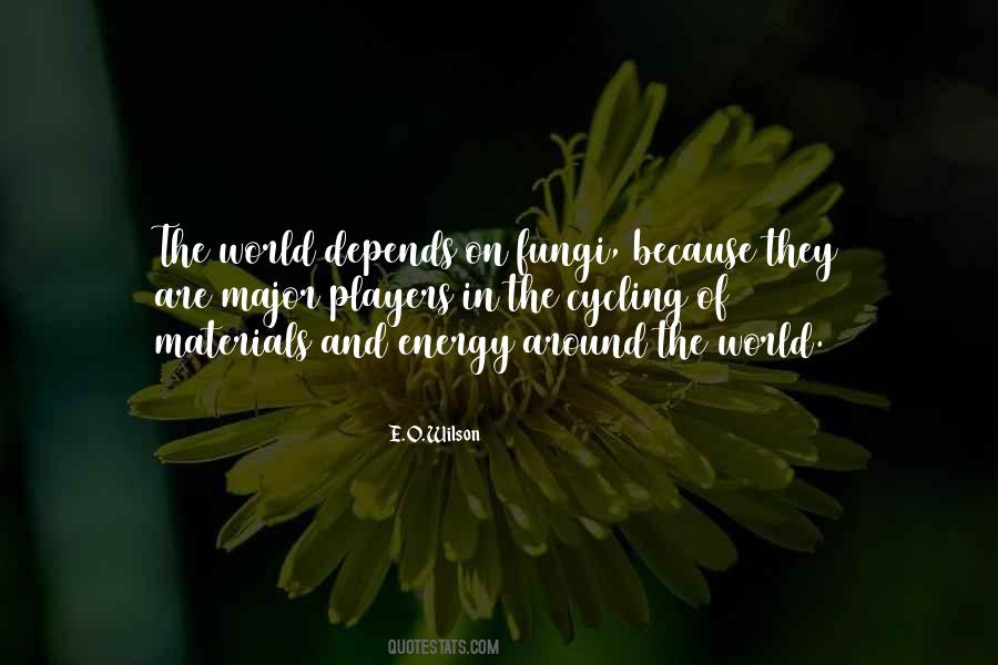 Quotes About World Energy #95268