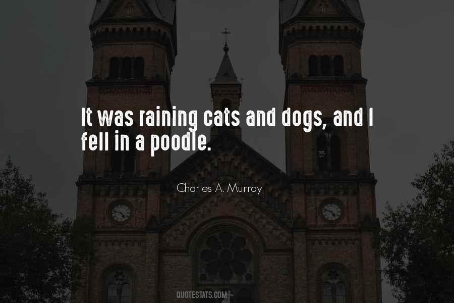Dog Rain Quotes #1609541