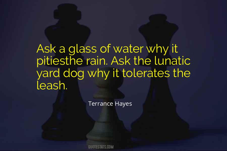 Dog Rain Quotes #1760656