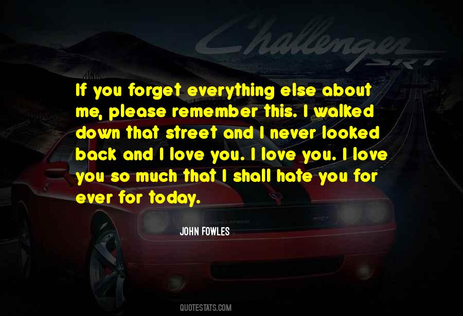 Hate You So Much Quotes #558581