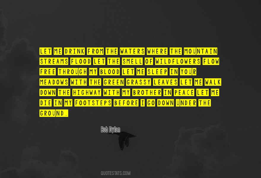 Free My Brother Quotes #270624
