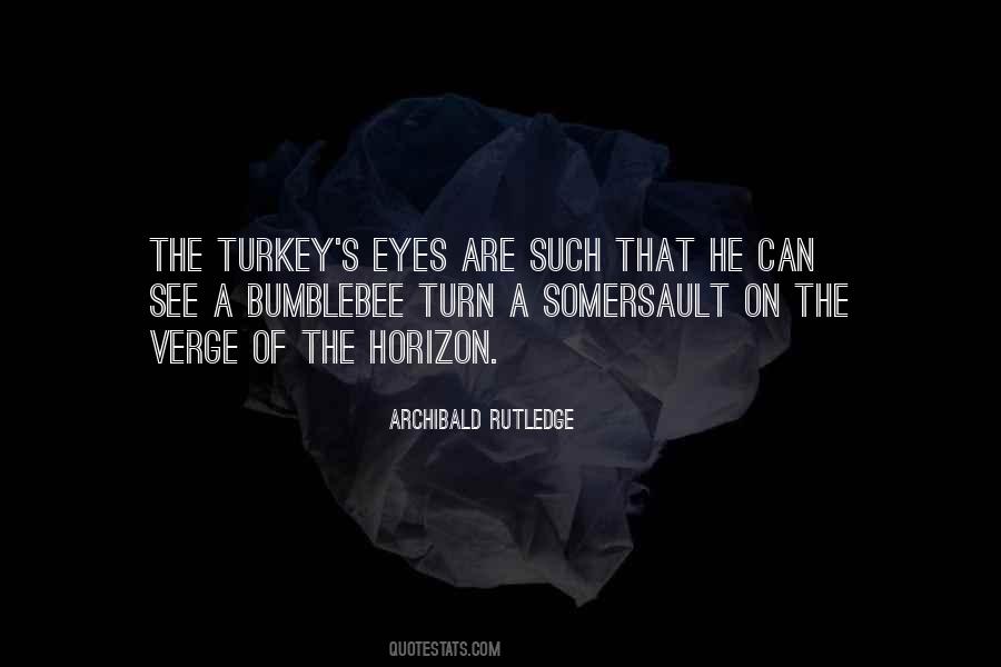 Quotes About A Turkey #513557