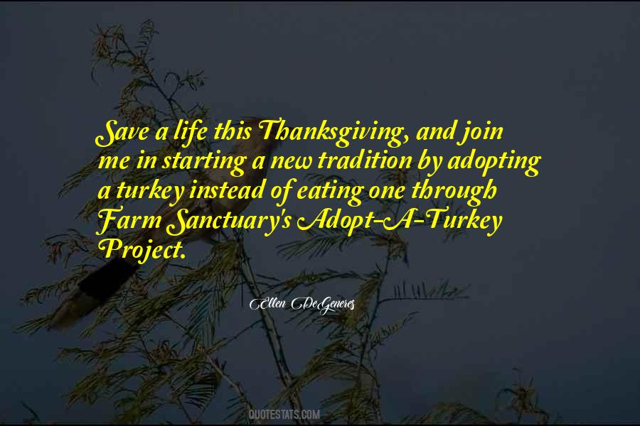 Quotes About A Turkey #972250