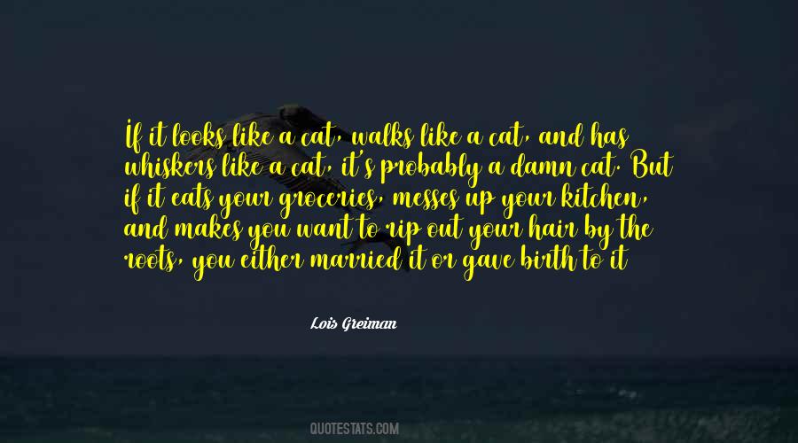 Funny Rip Quotes #1740079