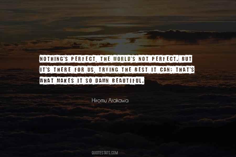 Quotes About Perfect Flaws #868499